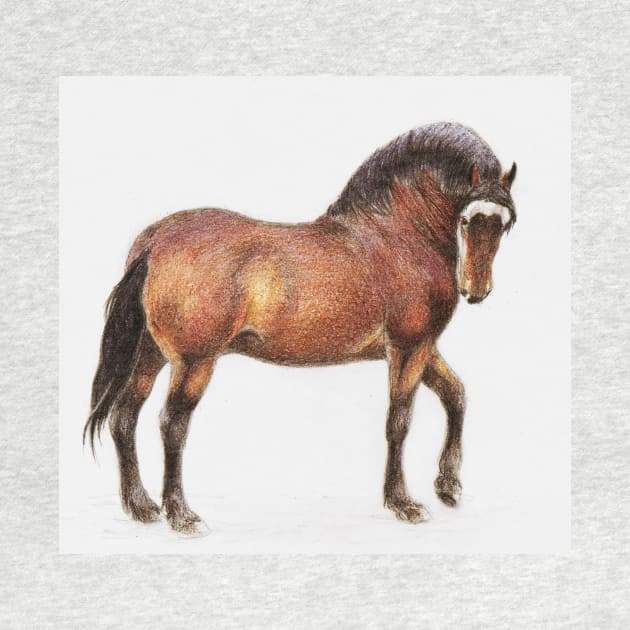 Welsh stallion in colored pencil by KJL90